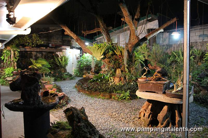 Pampanga Bonsai Garden