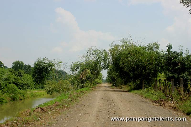 Road to Cong Dadong Dam in Brgy. San Juan Bano, Arayat Pampanga