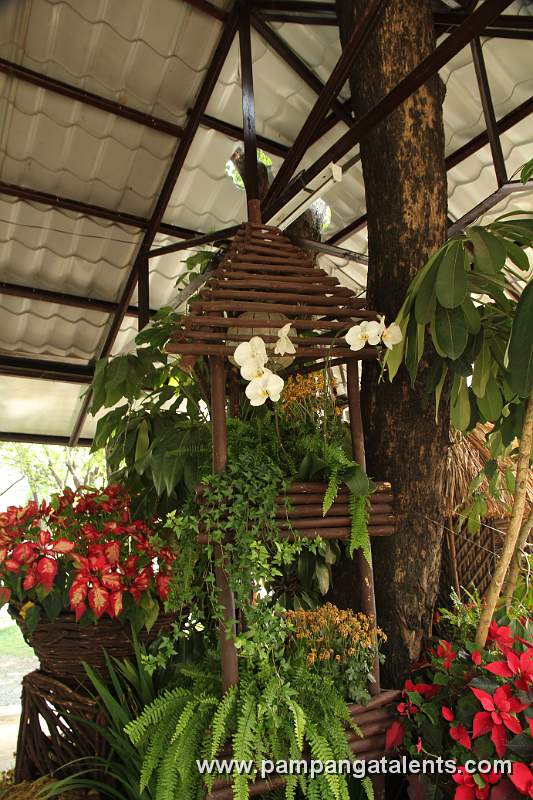 Orchids and Plants Nursery in Quezon Memorial Circle in Quezon City.