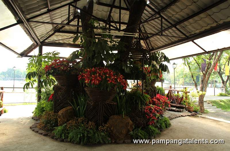 Man made Lagoon with Bonsai Plants inside Tropical Garden in Quezon