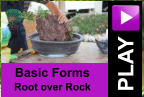 PLAY Basic Forms Root over Rock