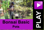 PLAY Bonsai Basic Pots