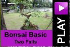 PLAY Bonsai Basic Two Fails