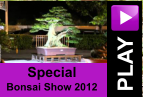 PLAY Special Bonsai Show 2012