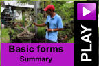 PLAY Basic forms Summary