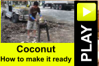 PLAY Coconut How to make it ready