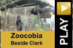 PLAY Zoocobia Beside Clark
