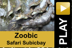 PLAY Zoobic Safari Subicbay