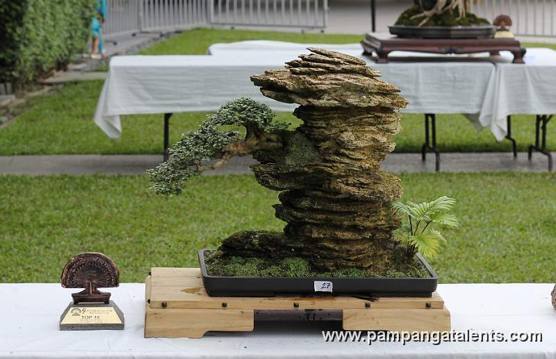 Penjing / Landscape Bonsai