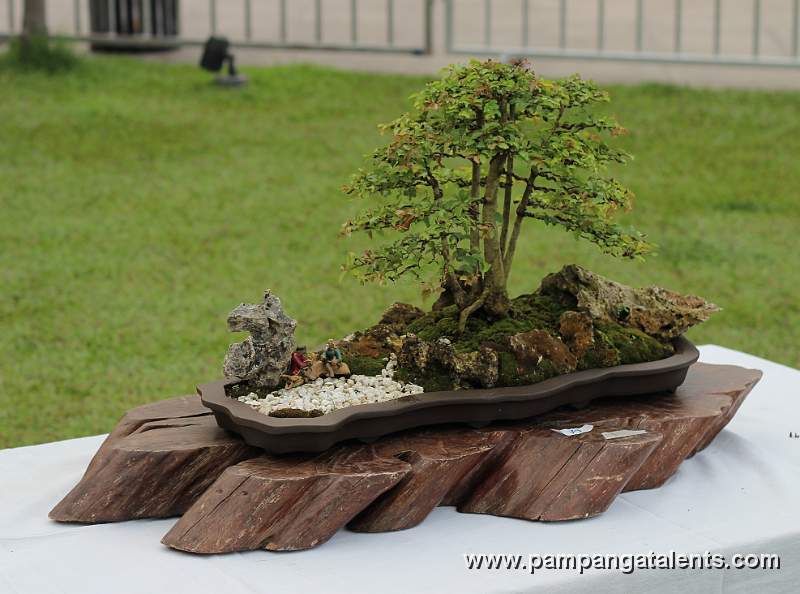 Penjing / Landscape Bonsai
