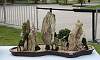 Penjing / Landscape Bonsai