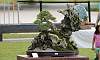 Penjing / Landscape Bonsai