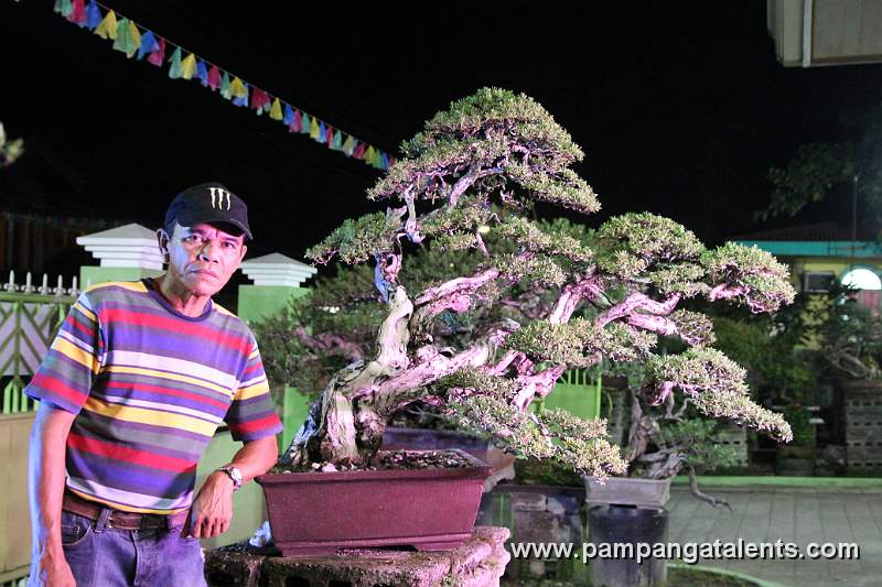 Bantigue Bonsai / Style: Slanting