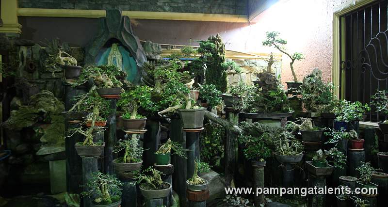 Philippine Bonsai Garden