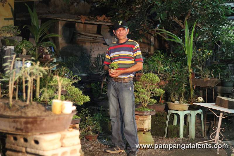 Philippine Bonsai Garden