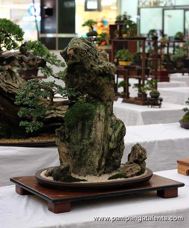 Penjing - Mulawin Bonsai