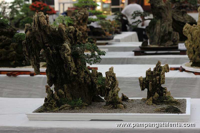 Penjing - Mulawin Bonsai