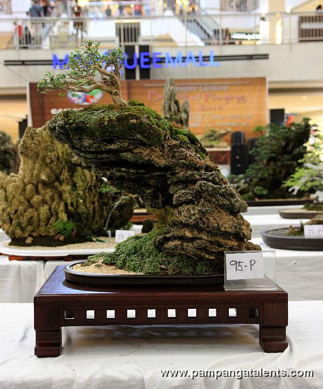 Penjing - Sampaguitang Gubat Bonsai