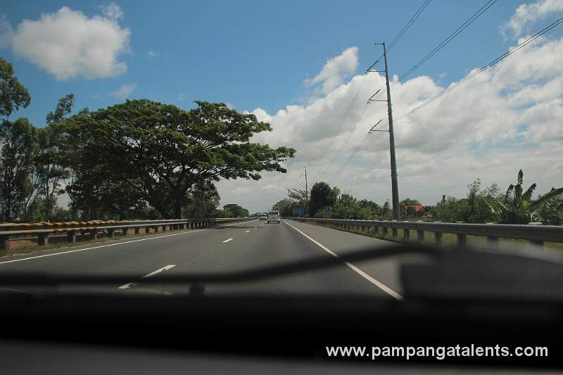 Large tree with clouds and blue sky on the Highway