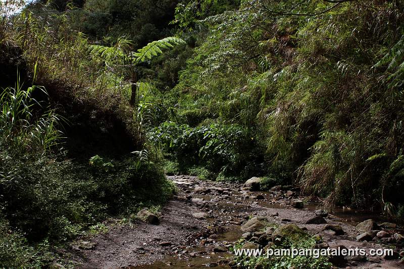 Tracking Way with Stream Crossing