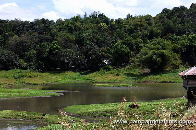 Lake View into Paradies