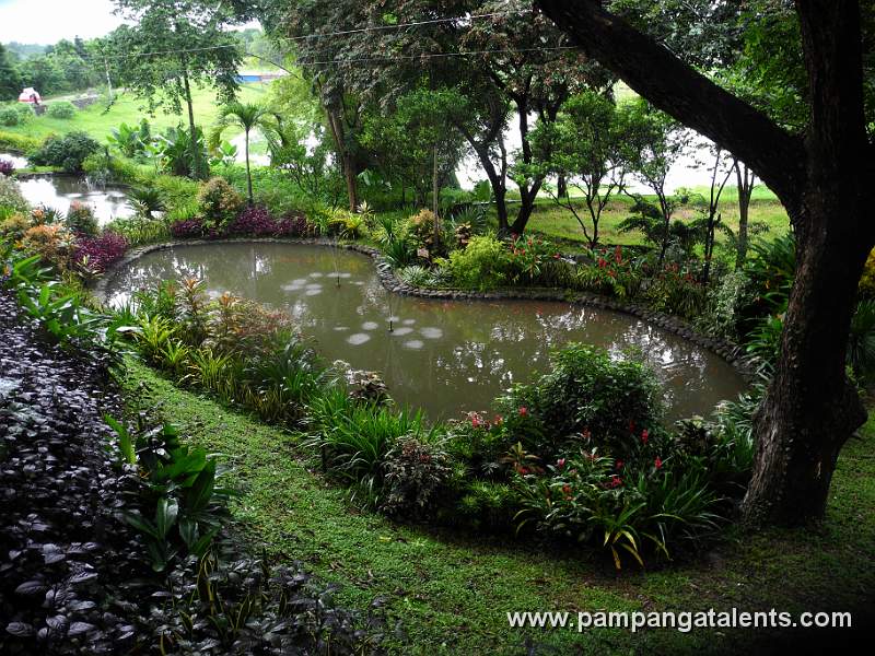 Pond in Eco Park