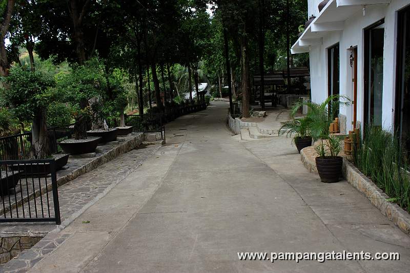 Walk way true Paradise