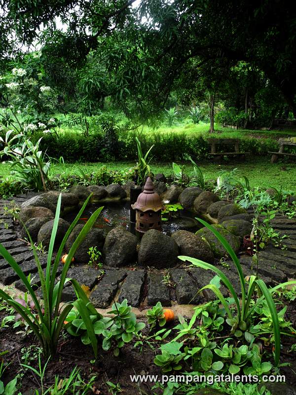 Smaal Pond in Eco Park