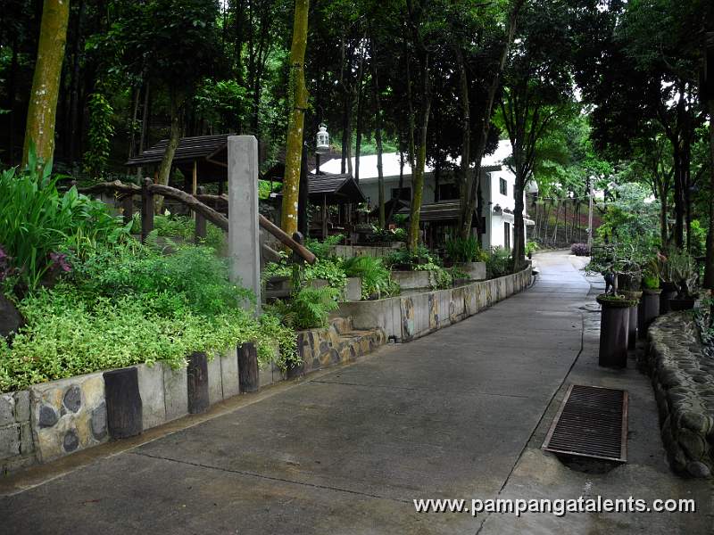 Walk way thrugh Paradise