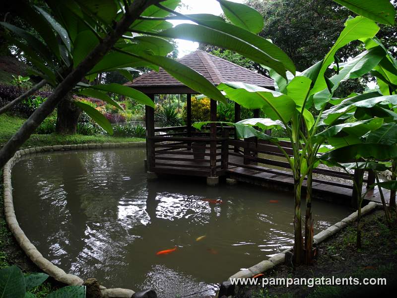Fish Pond in Eco Paradise