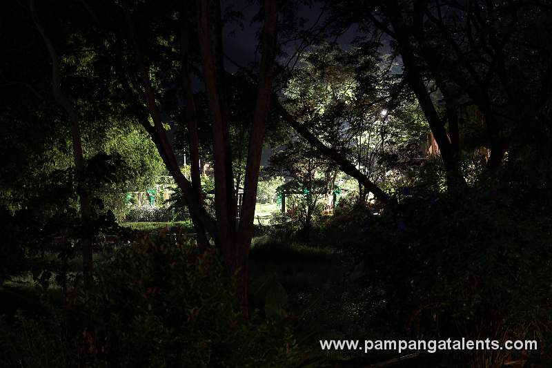 Eco Park at Night