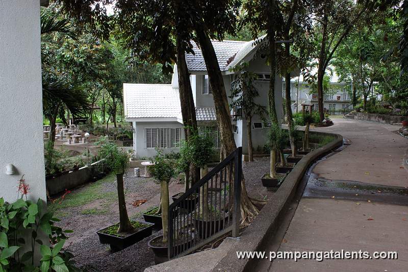 Walk Way througe Eco Park