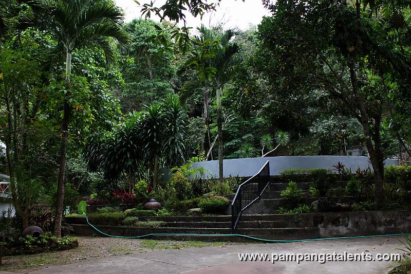 Swimming Pool in Eco Park