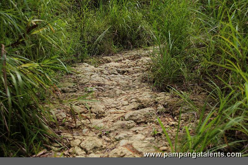 Road to Miyamit Falls on the mountain.