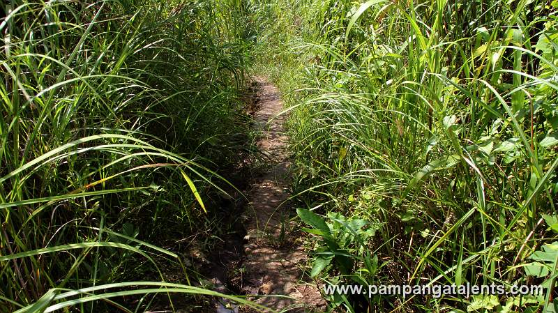 Walk way going to Miyamit Falls