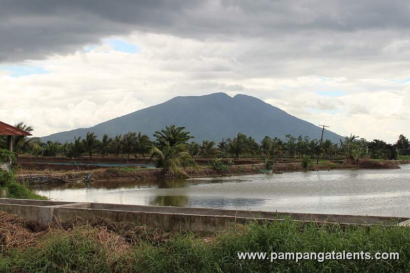 View of Mt. Arayatt in Candaba