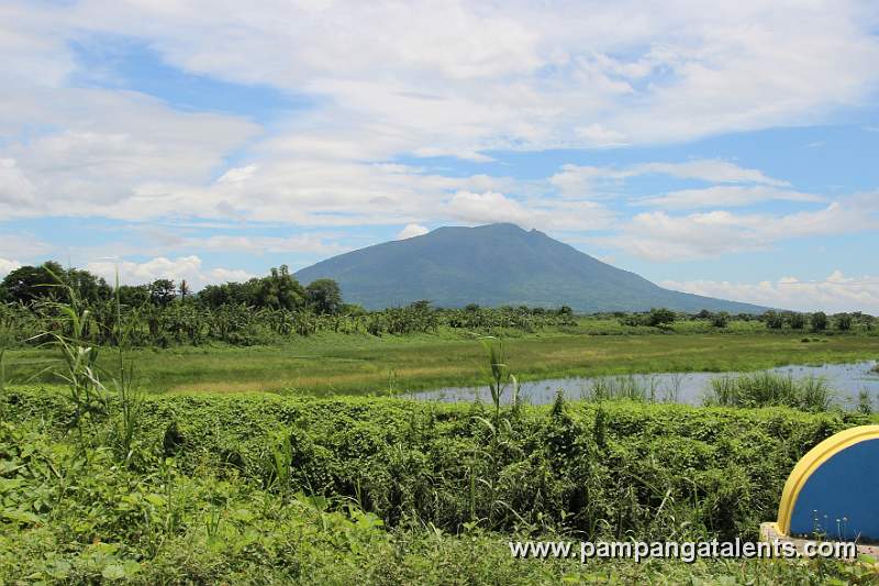 View on Mt. Arayat in Candaba