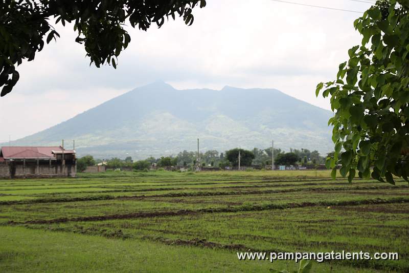 Mt. Arayat View in Mabalacat