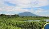 View on Mt. Arayat in Candaba  Location: Candaba - Pampanga