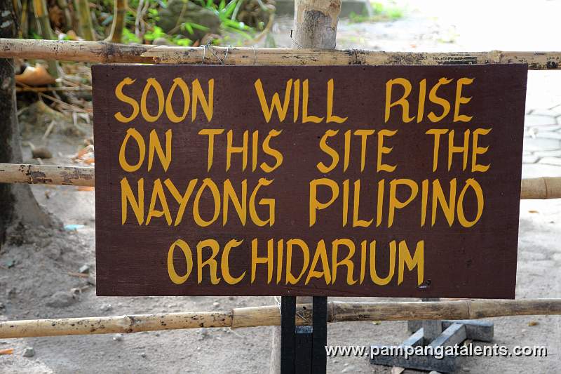 A Ongoing Nayong Pilipino Project