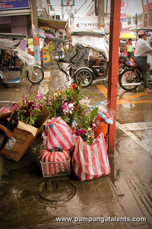 Orchids Flower Vendor