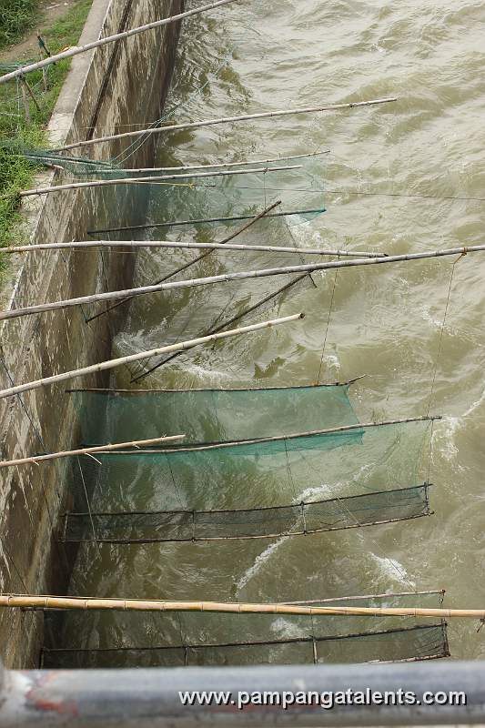 Fish nets hanging along the Cong Dadong Dam