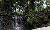 Water_Falls-National_Park_Arayat.JPG