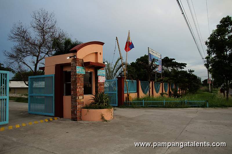 Mary the Queen Academy Pampanga
