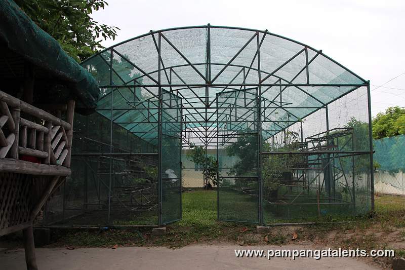 Green House