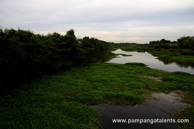 View of Pasig Potrero River
