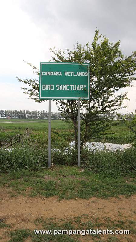 Candaba Wetlands Bird Sanctuary