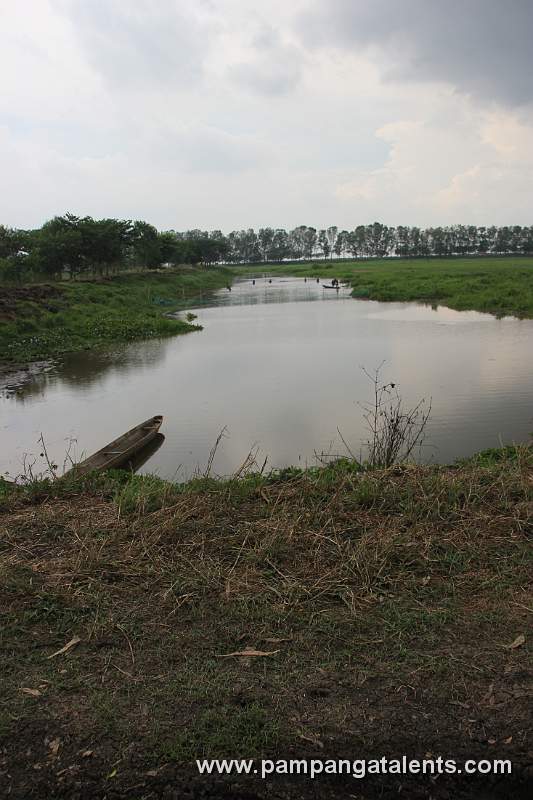 Fish Ponds