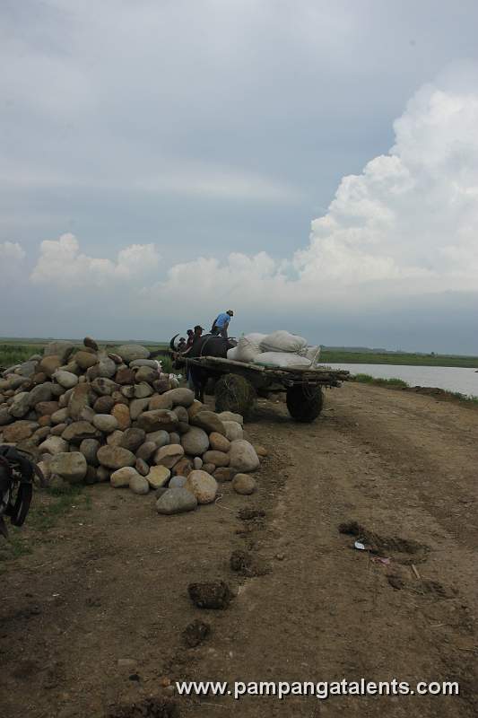 Boulders Along the Road