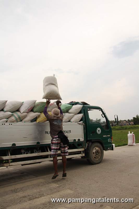 Sacks of Rice on the Truck